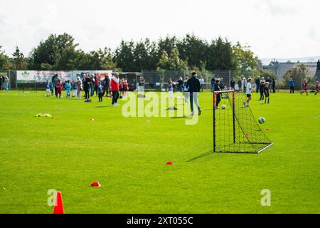 Piccolo gol da calcio su un campo da calcio verde Foto Stock