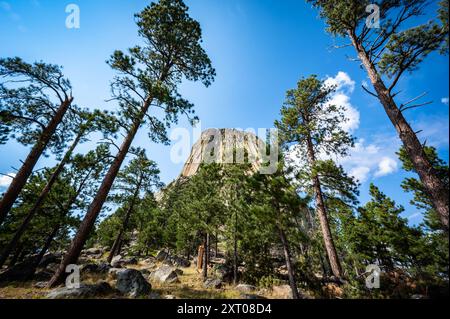 Devils Tower, Wyoming Loop Foto Stock