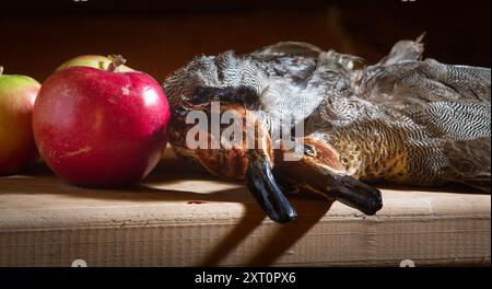 la preda del cacciatore (due di tè abbattuti) giace sul tavolo della cucina di legno accanto alle mele rosse Foto Stock