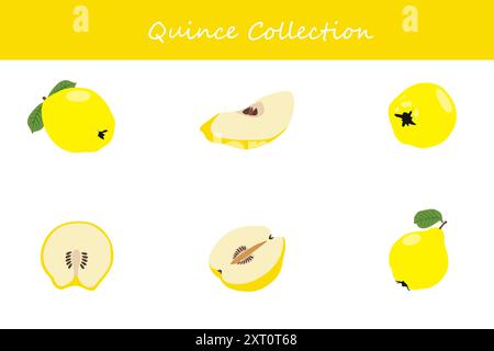 collezione quince. quince in pose diverse. Illustrazione vettoriale. Illustrazione Vettoriale
