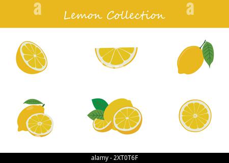 raccolta di limone. limone in pose diverse. Illustrazione vettoriale. Illustrazione Vettoriale