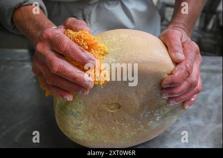 Il formaggio viene lavato nel "saloir" di Fabrèges nei Pirenei del Béarn, il formaggio caprino di montagna è maturo. Artouste, Francia Foto Stock