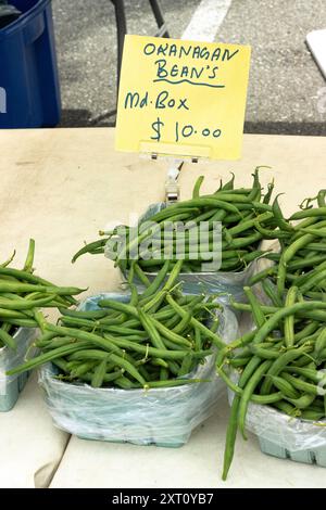 Primo piano e consistenze di piselli Okanagan biologici appena raccolti al Trout Lake Farmer's Market nella British Columbia Foto Stock