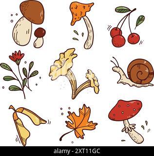 Insieme di piante forestali autunnali: Funghi, foglie, bacche. Stagione autunnale. Illustrazioni vettoriali di cartoni animati disegnate a mano. Collezione autunnale. Set di isolati Illustrazione Vettoriale