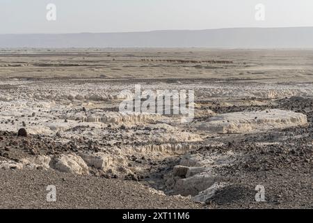 Sale caravan in Gibuti, passando dal lago Assal alle montagne dell Etiopia, Gibuti, Africa Foto Stock