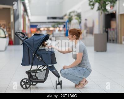 Donna caucasica che fa shopping in un centro commerciale con un cane Jack Russell terrier in un passeggino. Foto Stock