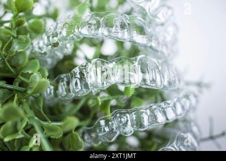 Le bretelle invisibili pesano su foglie verdi di pianta domestica su sfondo bianco Foto Stock