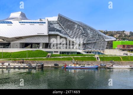 Il Musée des Confluences, un museo drammatico di scienza e antropologia decostruttivista all'estremità meridionale dell'isola Confluences a Lione, in Francia. Foto Stock