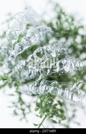 Le bretelle invisibili pesano su foglie verdi di pianta domestica su sfondo bianco Foto Stock