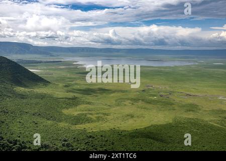 Il lago Magadi, un lago alcalino/soda, significa salato in lingua maasai, cratere di Ngorongoro, Tanzania Foto Stock