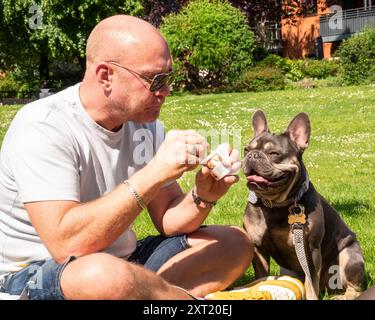 Uomo calvo con gli occhiali da sole seduto sull'erba a nutrire un gelato Bulldog francese in una giornata di sole. Krst00053 Copyright: XConnectxImagesx Foto Stock