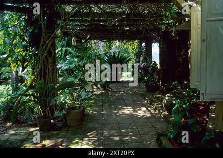 Terrazza con piante in vaso nell'ex casa dell'architetto paesaggista Bevis Bawa al Brief Garden nel villaggio di Kalawila, Beruwala, provincia occidentale, Sri Lanka. Immagine di archivio acquisita nel 2001 Foto Stock