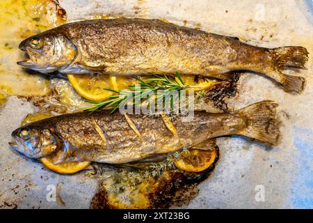 trota di pesce cotta al forno con burro al limone e rosmarino Foto Stock