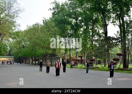 Gruppo di persone che praticano tai chi in un parco, a Pechino, capitale della Cina, il 21 aprile 2024 Foto Stock