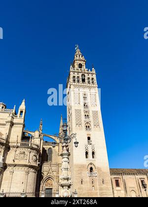 La Cattedrale di Santa Maria della sede o Catedral de Santa Maria de la sede meglio conosciuta come Cattedrale di Siviglia è una cattedrale cattolica di Siviglia Foto Stock