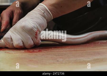 Scena culinaria della cucina giapponese (ciotola di anguille) a Tokyo, Giappone Foto Stock