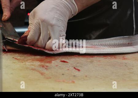 Scena culinaria della cucina giapponese (ciotola di anguille) a Tokyo, Giappone Foto Stock