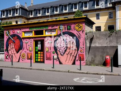 Graffiti per la Street wall art ad Annecy, Francia, Europa Foto Stock