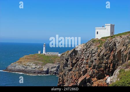 RSPB South Stack Reserve con la Torre di Elin (Tŵr Elin) e il faro di South Stack Foto Stock