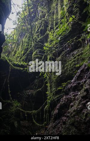 Stretto sentiero in pietra che si snoda attraverso formazioni rocciose che conducono verso l'alto in un ambiente naturale isolato Foto Stock