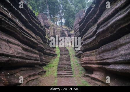 Stretto sentiero in pietra che si snoda attraverso formazioni rocciose robuste ricoperte di muschio. Parco geoligico nazionale della foresta di pietra Rossa, fu Rong, Hunan, Cina Foto Stock