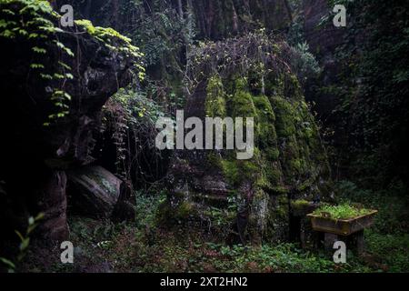 Struttura in pietra ricoperta di muschio in una lussureggiante foresta, circondata da vegetazione sovrastata e da una fitta vegetazione. Un ambiente antico, nascosto e misterioso Foto Stock