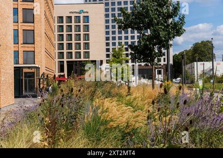 Area verde in MesseCity nel quartiere Deutz, sulla sinistra l'edificio Saint-Lazare, il Motel One Hotel e il blocco torre Centraal, Cologne, G. Foto Stock