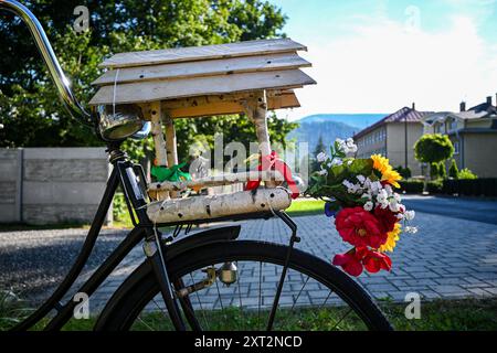 Bicicletta nera in stile retrò parcheggiata in una giornata di sole con una birdhouse e un bouquet colorato. Foto Stock