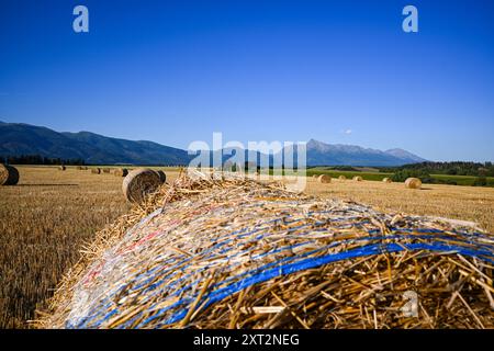 Le balle di fieno rotonde si trovano in un campo agricolo con una grande catena montuosa sullo sfondo. Foto Stock