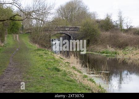 Tewitfield Lochs sulla sezione dismessa del canale di Lancaster vicino a Burton a Kendal Westmorland e Furness precedentemente Cumbria Inghilterra Foto Stock