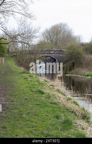 Tewitfield Lochs sulla sezione dismessa del canale di Lancaster vicino a Burton a Kendal Westmorland e Furness precedentemente Cumbria Inghilterra Foto Stock