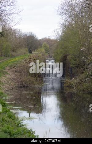 Tewitfield Lochs sulla sezione dismessa del canale di Lancaster vicino a Burton a Kendal Westmorland e Furness precedentemente Cumbria Inghilterra Foto Stock