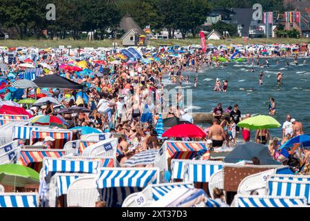 Voller Sommerstrand in Scharbeutz Das Bild zeigt einen vollen Strand in Scharbeutz an der heißen an einem sonnigen Ostseeküste Sommertag. Der Strand ist dicht besetzt mit Strandkörben, bunten Sonnenschirmen und zahlreichen Badegästen, die das warme Wetter genießen. Im Wasser tummeln sich Menschen, die schwimmen oder einfach im seichten Wasser stehen. An vielen Orten in Deutschland könnte es heute der bislang heißeste Tag des Jahres werden. Scharbeutz Schleswig-Holstein Deutschland *** Spiaggia estiva completa a Scharbeutz l'immagine mostra una spiaggia piena a Scharbeutz, sulla costa del Mar Baltico, su un caldo Foto Stock