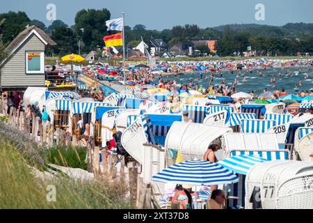 Voller Sommerstrand in Scharbeutz Das Bild zeigt einen vollen Strand in Scharbeutz an der heißen an einem sonnigen Ostseeküste Sommertag. Der Strand ist dicht besetzt mit Strandkörben, bunten Sonnenschirmen und zahlreichen Badegästen, die das warme Wetter genießen. Im Wasser tummeln sich Menschen, die schwimmen oder einfach im seichten Wasser stehen. An vielen Orten in Deutschland könnte es heute der bislang heißeste Tag des Jahres werden. Scharbeutz Schleswig-Holstein Deutschland *** Spiaggia estiva completa a Scharbeutz l'immagine mostra una spiaggia piena a Scharbeutz, sulla costa del Mar Baltico, su un caldo Foto Stock