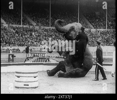 Un elefante seduto sulle sue gambe Hind mentre un uomo si arrampica su di esso, 1924. Da "Time to Remember - A Trip to Europe", 1924 (Reel 3); uno sguardo alla vita politica e sociale in Europa e oltre nel 1924. Foto Stock