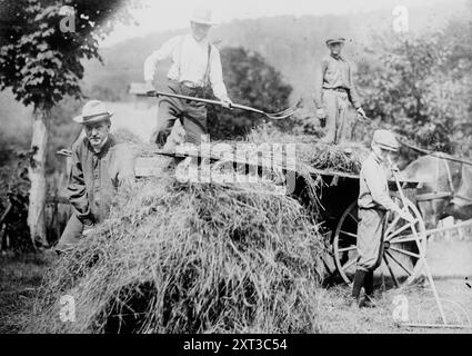 Coolidge, tra c1915 e c1920. Mostra il presidente Calvin Coolidge (1872-1933), i suoi figli, Calvin Jr. E John, e suo padre John Calvin Coolidge Sr. (1845-1926) che lavorano nel campo, accumulando fieno nel carro. Coolidge indossa una lunga camicia da lavoro. Foto Stock