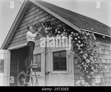 Murray, tra c1915 e c1920. Mostra William Thomas "Billy" Murray (1877-1954), un cantante popolare negli Stati Uniti all'inizio del XX secolo. Foto Stock