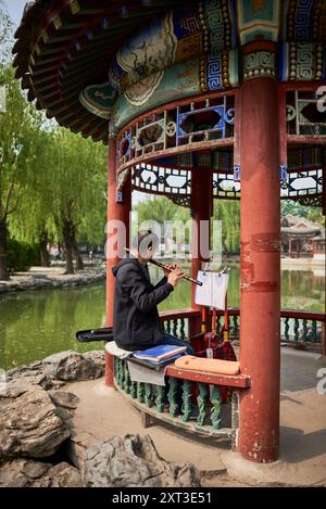 Anziano uomo cinese che suona strumenti tradizionali cinesi al parco di Pechino, capitale della Cina, il 22 aprile 2024 Foto Stock