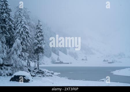 Un tranquillo scenario invernale in Svizzera caratterizzato da un paesaggio innevato con pini e un lago parzialmente ghiacciato sotto un cielo grigio e nuvoloso e neve- Foto Stock