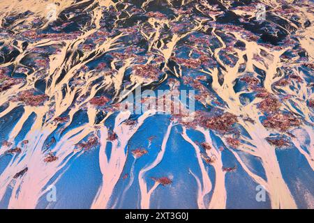 Questo splendido paesaggio costiero presenta fantasie fluide di alghe e sabbia, che creano un'armoniosa miscela di sfumature blu e rosa, somiglianti al delta del fiume Foto Stock