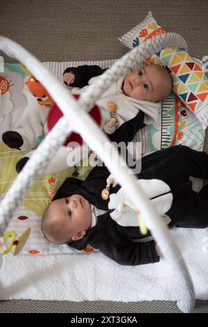 I bambini gemelli in abiti comodi giacciono su un tappetino colorato, guardando curiosamente i giocattoli appesi a una palestra per catturare un momento di tranquillità nel loro primo devono Foto Stock