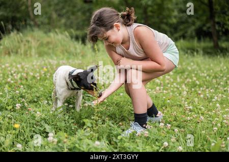 Una bambina si piega per dare da mangiare a un piccolo cane felice in un bellissimo campo verde punteggiato di fiori, circondato da alberi. Foto Stock