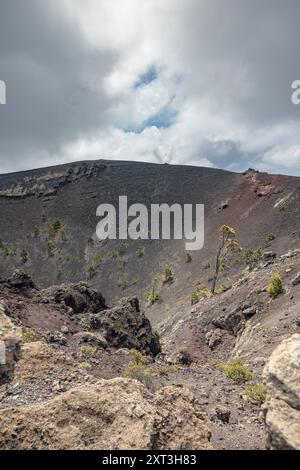 Vista panoramica del cratere vulcanico di San Antonio con vegetazione sparsa a la Palma, Isole Canarie, sotto un cielo nuvoloso. Foto Stock