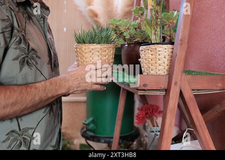 Un uomo anziano tiene delicatamente in mano una pianta in vaso, sistemandola con cura su una scaffalatura di legno rifornita di varie altre piante Foto Stock