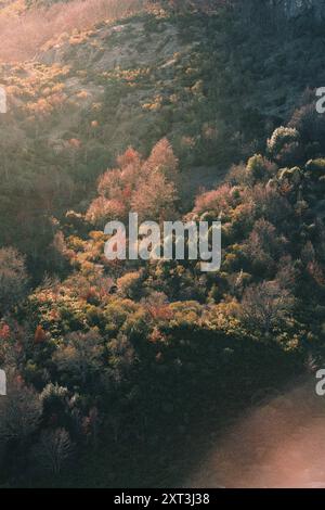 Una vivace esposizione di fogliame autunnale copre le aspre pendici delle montagne di Palencia, catturando la serena bellezza della stagione Foto Stock