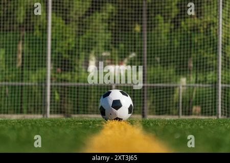 Un pallone da calcio posizionato con cura su un lussureggiante campo verde, in un parco tranquillo che rappresenta un momento di pausa prima della partita Foto Stock