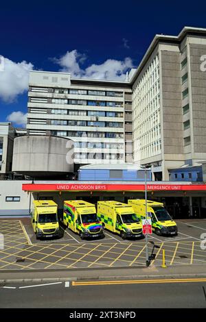 Ambulance Bay, University Hospital of Wales, Heath Park, Cardiff, Wales, UK. Foto Stock