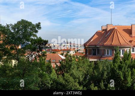 Castello di Praga con la cattedrale di San Vito Foto Stock