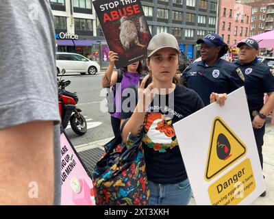 Membri del NYPD corral manifestanti per i diritti degli animali fuori dal negozio Crumbl a Chelsea a New York venerdì 9 agosto 2024 durante un'attivazione del marchio. I manifestanti si sono opposti alla catena dei biscotti che utilizza uova di galline tenute in presunte condizioni non sanitarie e abusive. (© Frances M. Roberts) Foto Stock