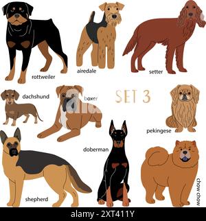 Set di cani bruni di varie razze lavoro degli autori Illustrazione Vettoriale